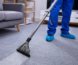 Person vacuuming the carpet